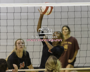VolleyBall-Opelika-Valley©Noles-4511