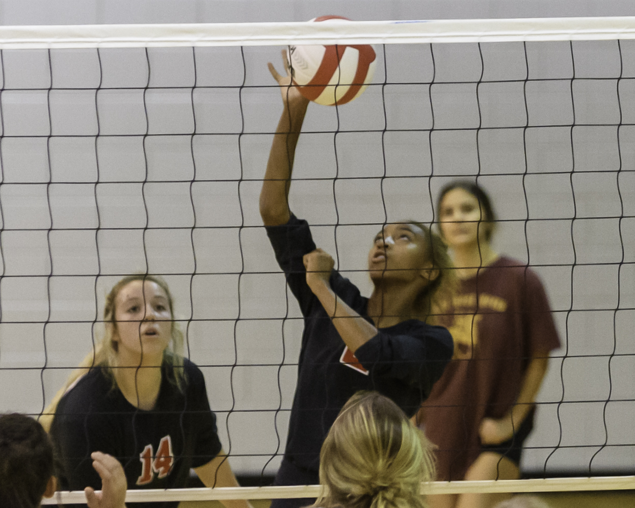 VolleyBall-Opelika-Valley©Noles-4511
