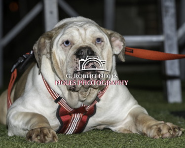 OHS-Homecoming-2021©NolesPhotography-5112