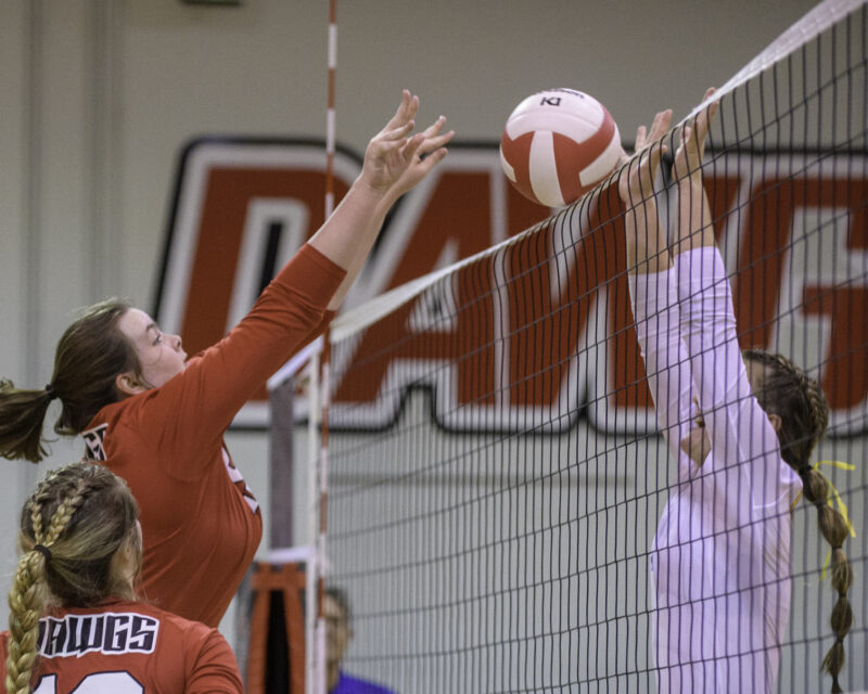 Opelika_Beauregard_Volleyball©nolesphotography-0040