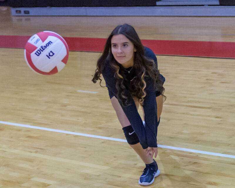 2022_OH_Volleyball_Team-NP1_3049