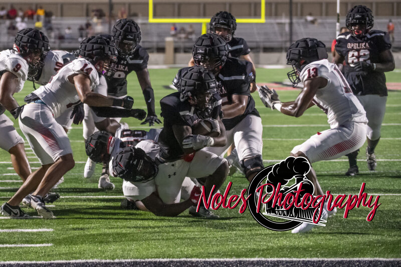 Meet-the-Bulldogs-RN-15531