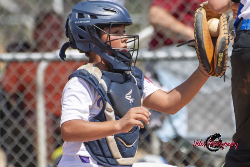 2025-DBB-World-Series_NP10152