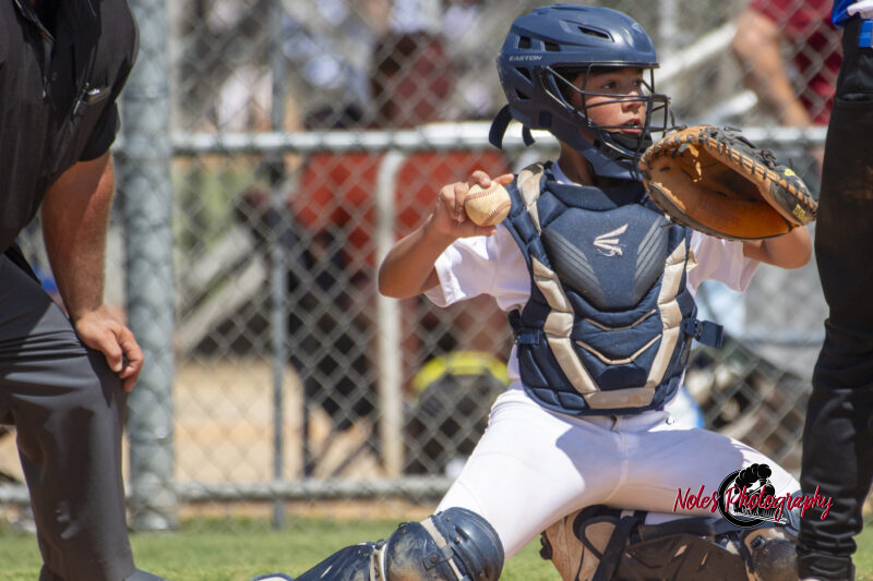 2025-DBB-World-Series_NP10157