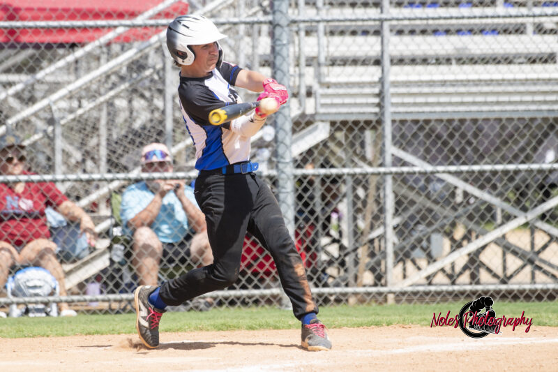 2025-DBB-World-Series_NP10195