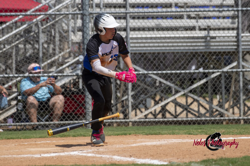 2025-DBB-World-Series_NP10205