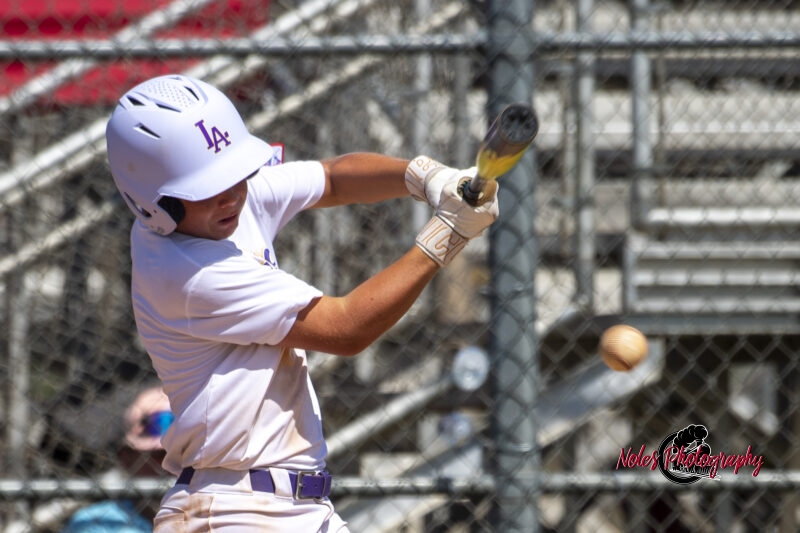 2025-DBB-World-Series_NP10337-2