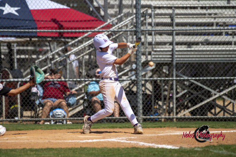 2025-DBB-World-Series_NP10337