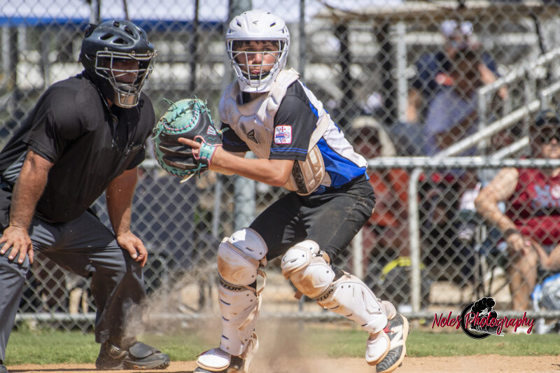 2025-DBB-World-Series_NP10349