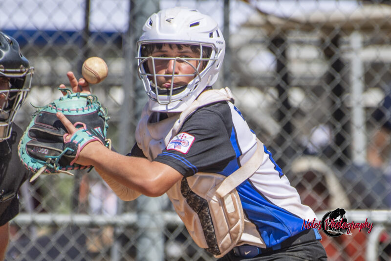 2025-DBB-World-Series_NP10350-2