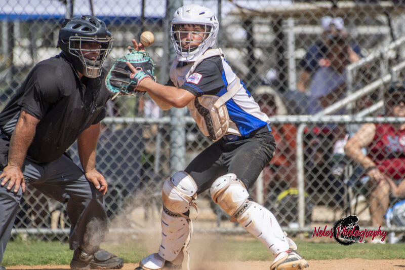 2025-DBB-World-Series_NP10350