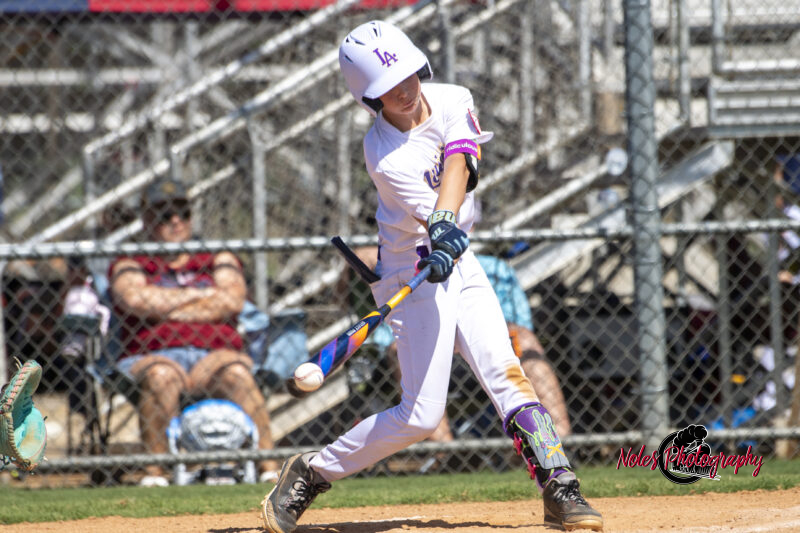 2025-DBB-World-Series_NP10353