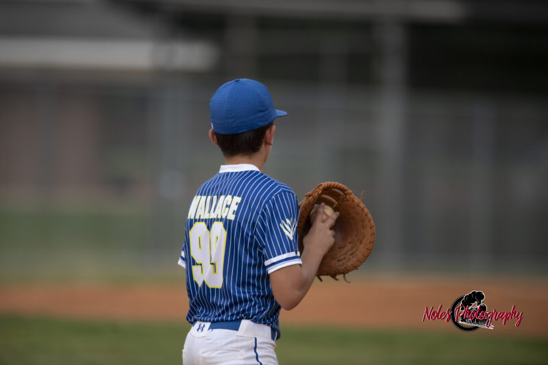 AL-LA-Playoff-game_NP12876