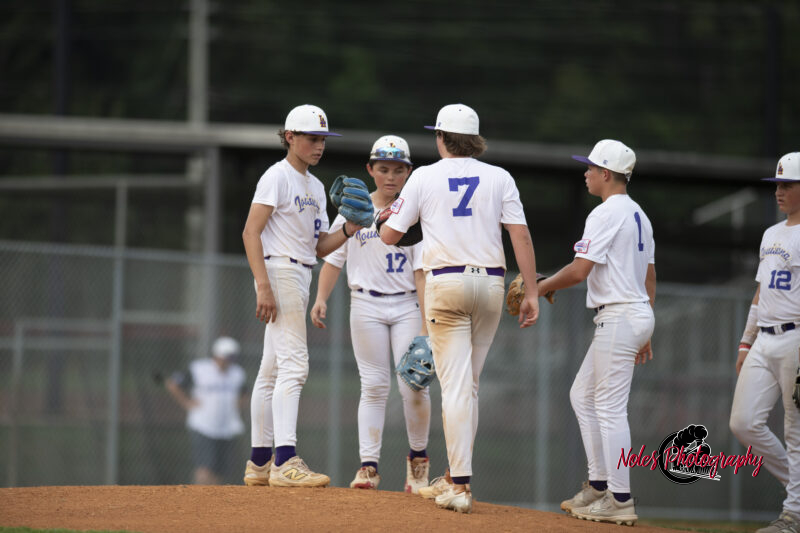 AL-LA-Playoff-game_NP12986