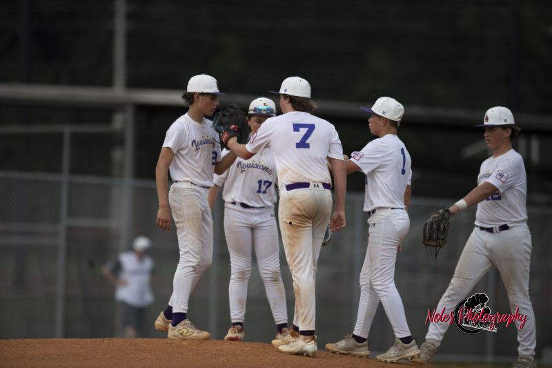 AL-LA-Playoff-game_NP12988