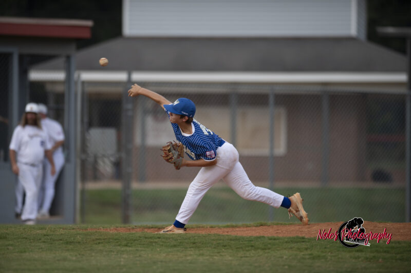 AL-LA-Playoff-game_NP13018