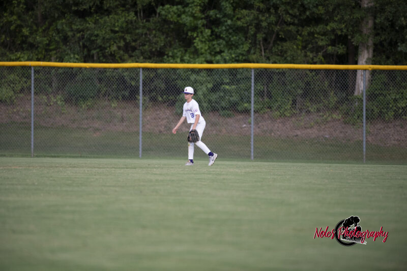 AL-LA-Playoff-game_NP13033