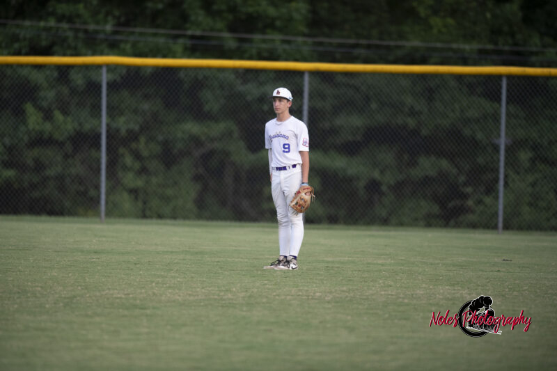 AL-LA-Playoff-game_NP13035