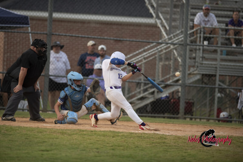 AL-LA-Playoff-game_NP13039
