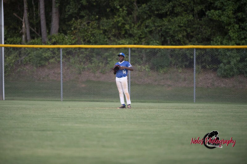 AL-LA-Playoff-game_NP13059