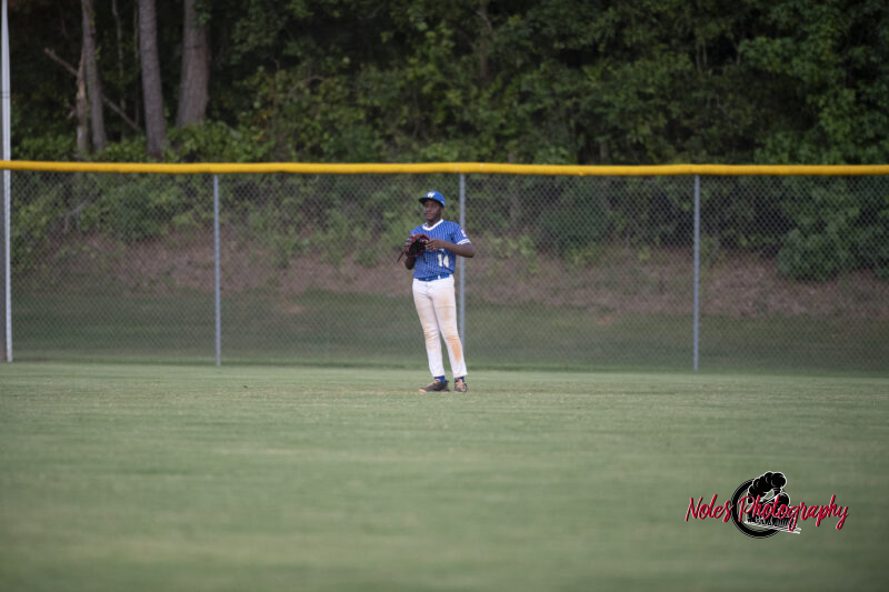 AL-LA-Playoff-game_NP13060