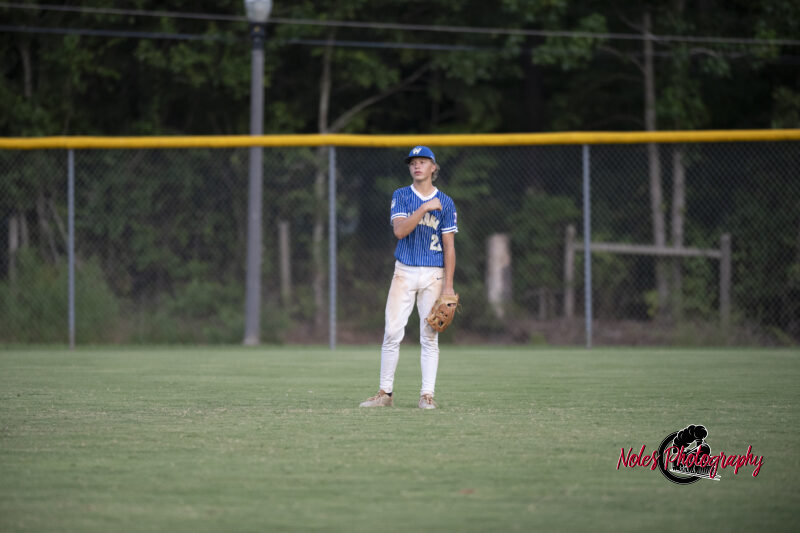 AL-LA-Playoff-game_NP13061