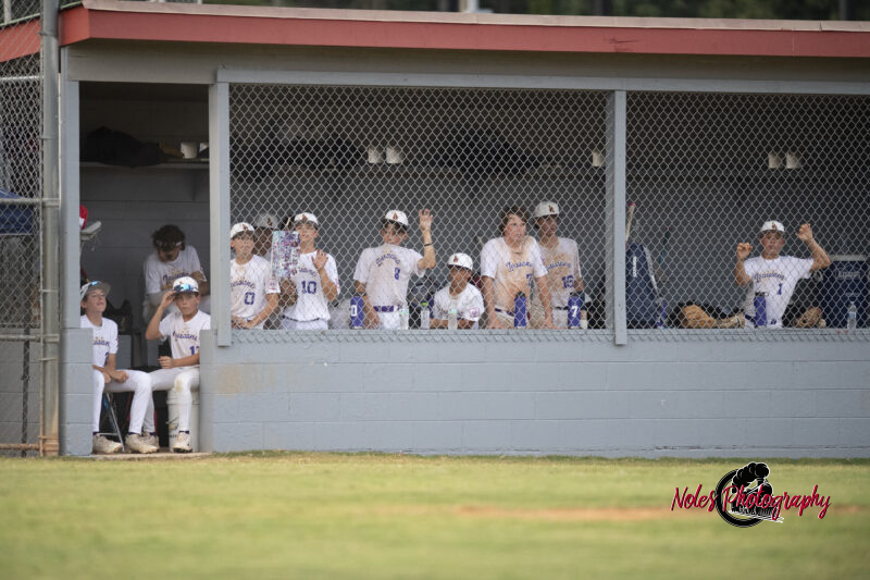 AL-LA-Playoff-game_NP13080