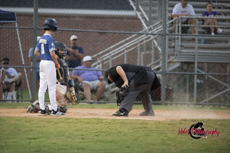 AL-LA-Playoff-game_NP13119