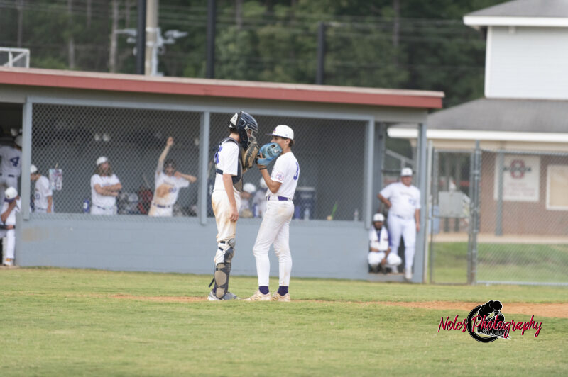 AL-LA-Playoff-game780_2555