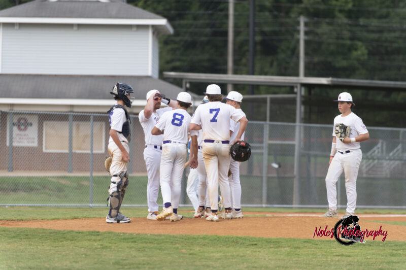 AL-LA-Playoff-game780_2574