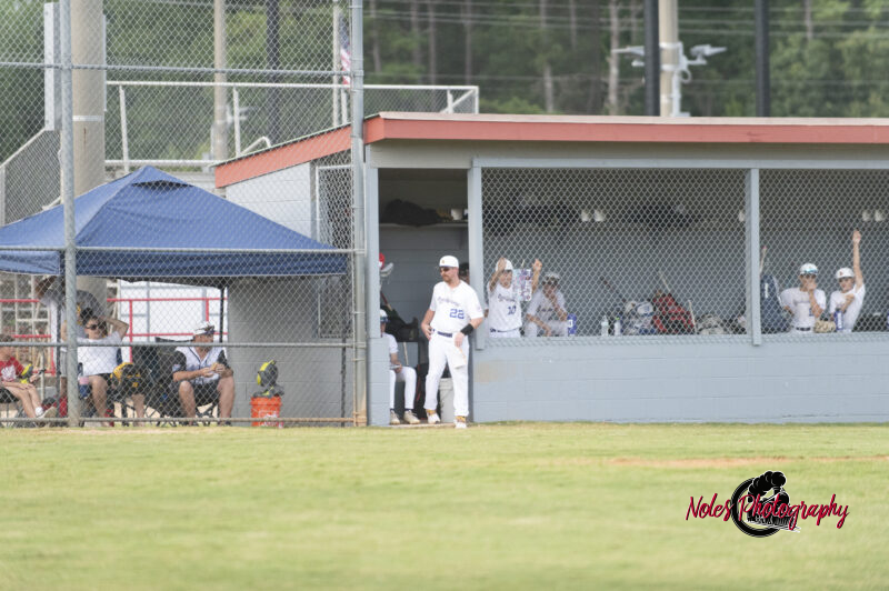 AL-LA-Playoff-game780_2659