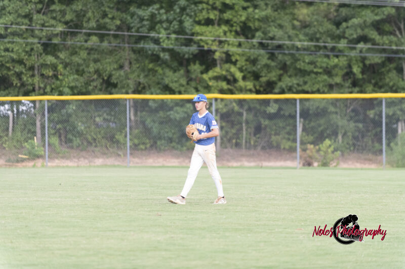 AL-LA-Playoff-game780_2691