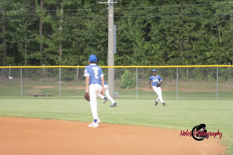 AL-LA-Playoff-game780_2706