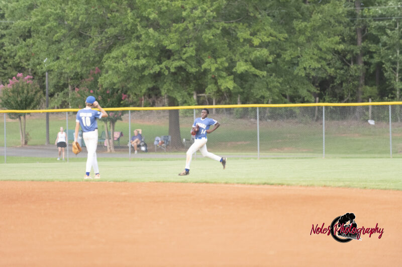 AL-LA-Playoff-game780_2715