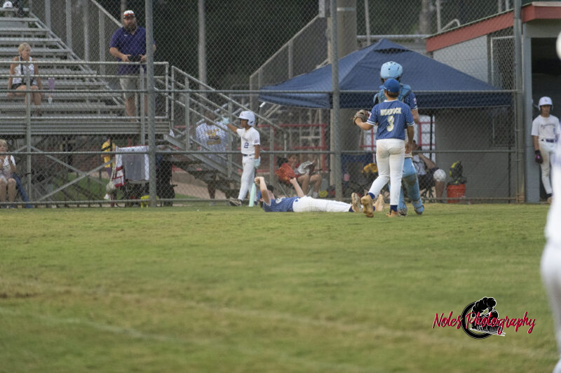 AL-LA-Playoff-game780_2866