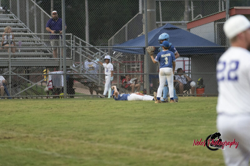 AL-LA-Playoff-game780_2868