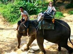 Trying my hand at riding an elephant in rural Thailand