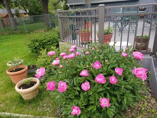 Photo Provided by Agent