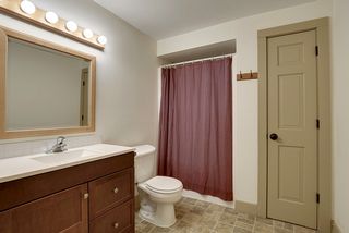 Lower level 3/4 bath is well appointed and updated