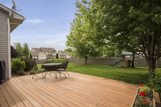 Views of yard and gorgeous trees. 