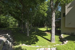 Beautiful side and back yard 