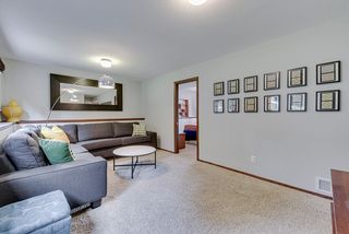 Lower level family room