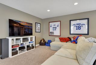 TV space in the bonus room.