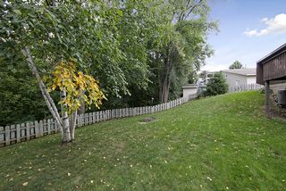Fenced in Yard