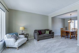 New carpet - living space