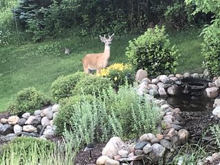 Photo provided by seller.