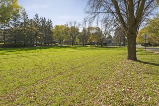 Field Park