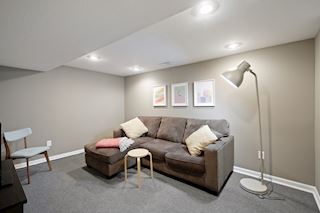 Lower level family room