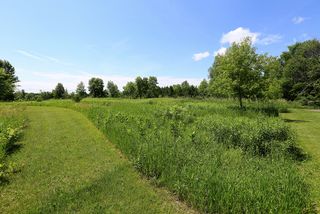 Summer view of vastness and watching wildlife!