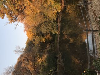 photo provided by seller